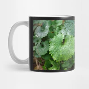 Green leaf look like dinosaur Mug